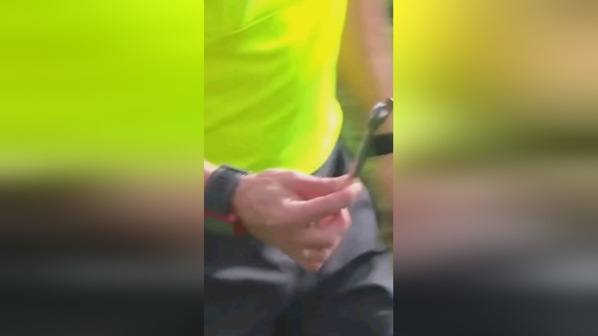 戰同樣引人